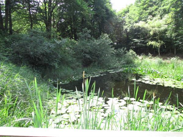 Grote foto woonruimte spoedig tijdelijk huren rustig recreatiepark teg huizen en kamers overige te huur