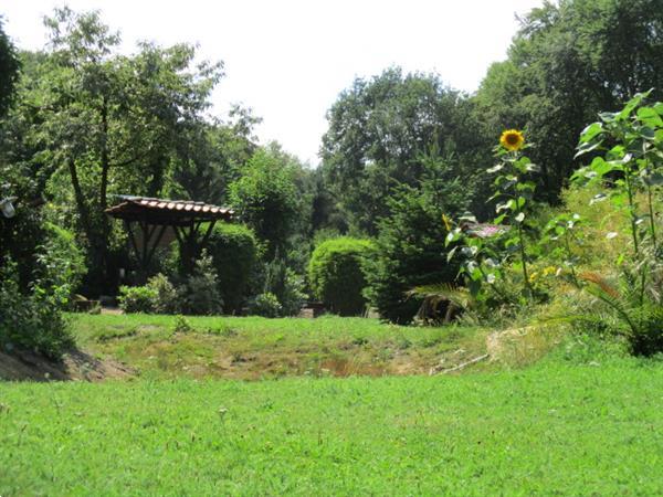 Grote foto tijdelijke huisvesting direct op grens van friesland groning huizen en kamers recreatiewoningen