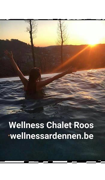 Grote foto ardennen durbuy luxe wellness chalet te huur vakantie belgi