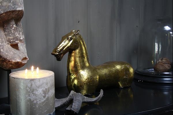 Grote foto goldie paard ijzer goud 52 cm huis en inrichting woningdecoratie