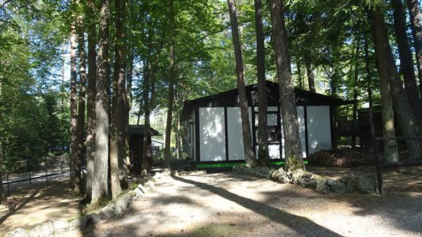 Grote foto bungalow in der eifel auf waldgrundst ck vakantie duitsland west
