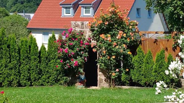 Grote foto d767 heerlijk vrijstaand huis nabij sauerland huizen en kamers vrijstaand