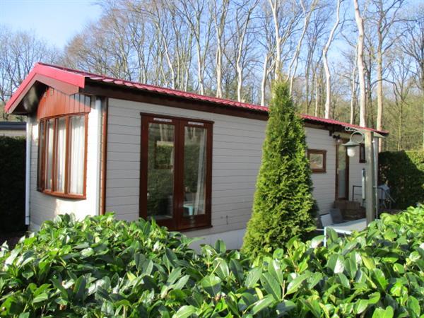 Grote foto recreatiepark trimunt verhuur van vakantiewoningen chalets v vakantie campings