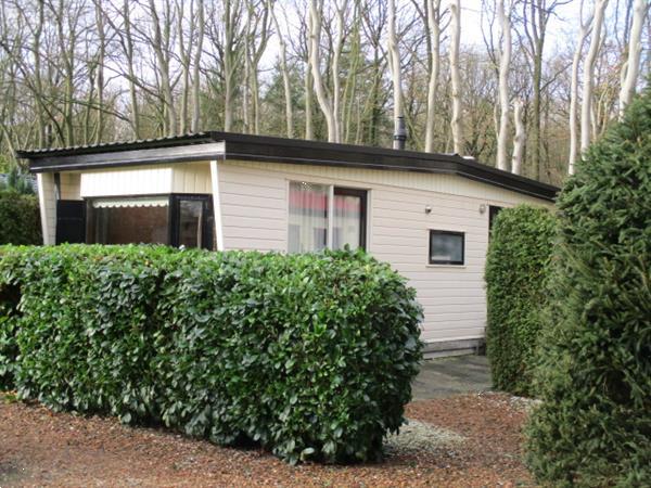 Grote foto camping nabij drachten heeft keurige vakantiewoningen tijdel caravans en kamperen overige caravans en kamperen