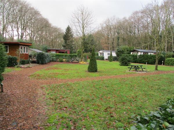 Grote foto camping nabij drachten heeft keurige vakantiewoningen tijdel caravans en kamperen overige caravans en kamperen