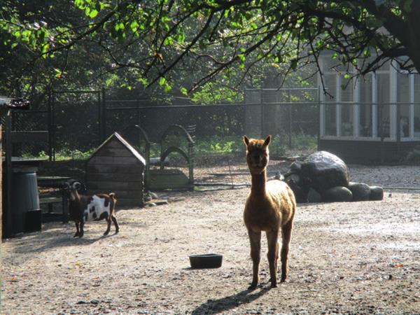 Grote foto camping verhuur van tijdelijke woonruimte ideaal bij een ver huizen en kamers appartementen en flat