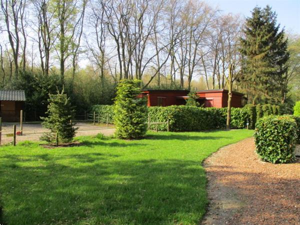 Grote foto camping aan het bos gelegen ideaal voor tijdelijke verhuur i caravans en kamperen overige caravans en kamperen