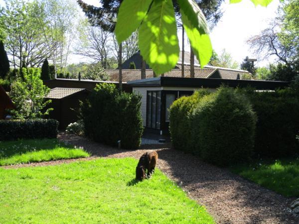 Grote foto vakantiewoning voor langere tijd te huur op grens friesland huizen en kamers recreatiewoningen