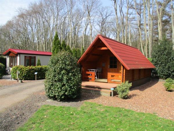 Grote foto gemeubileerde huurwoning tijdelijk te huur ideaal voor werk vakantie campings