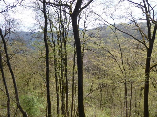 Grote foto dinant ardennen vakantiebungalow te huur vakantie belgi