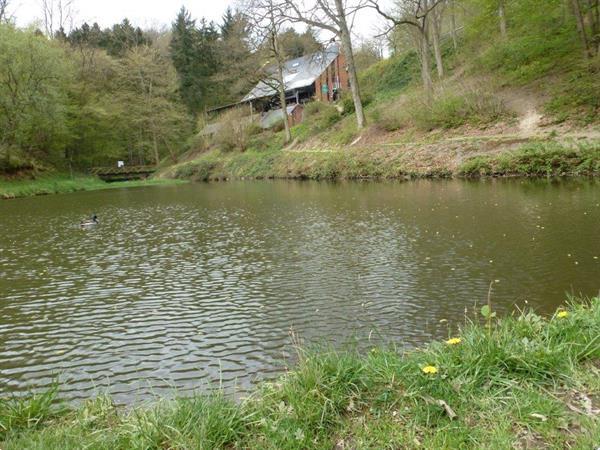 Grote foto dinant ardennen vakantiebungalow te huur vakantie belgi