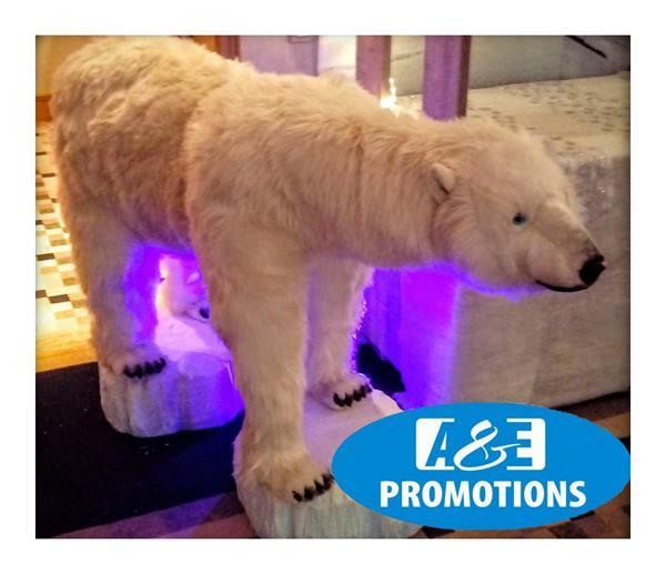 Grote foto esbjerg ijsbeer verhuur noordpool props zwolle diensten en vakmensen entertainment