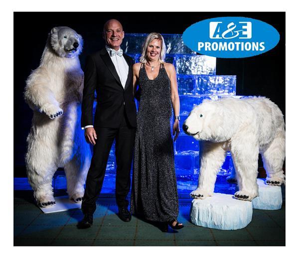 Grote foto ijsdecoratie verhuur amsterdam utrecht ijsbeer hobby en vrije tijd evenementen