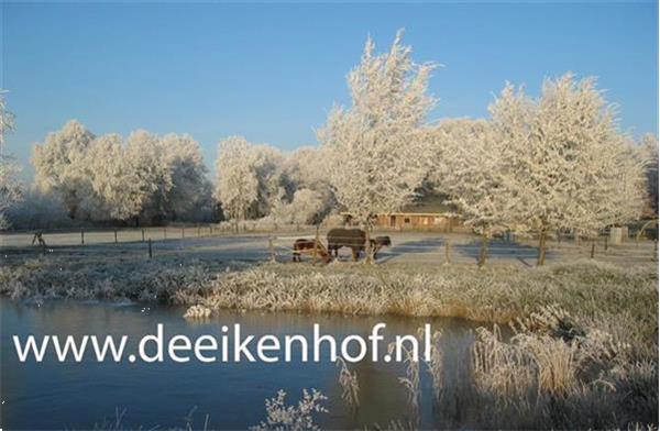 Grote foto winter landelike prive vakantiewoning overijssel vakantie nederland noord