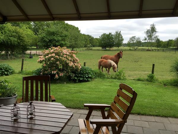 Grote foto winter landelike prive vakantiewoning overijssel vakantie nederland noord