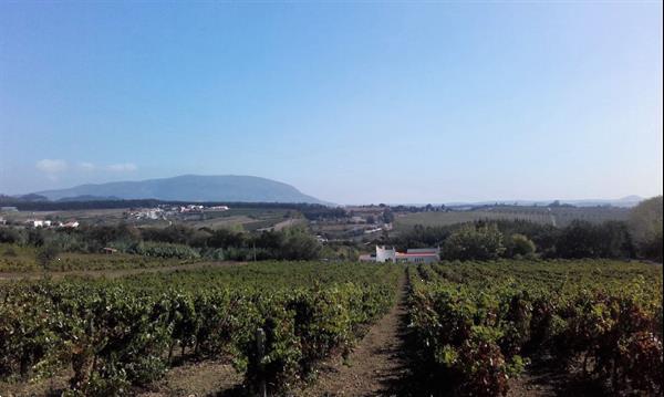 Grote foto luxe villa portugal met zwembad. nabij lissabon vakantie portugal