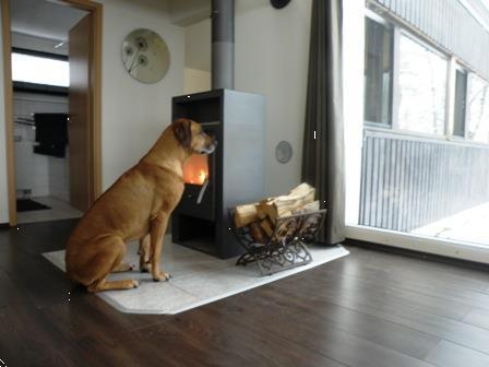 Grote foto luxe huis sauerland sauna hond welkom vakantie duitsland west