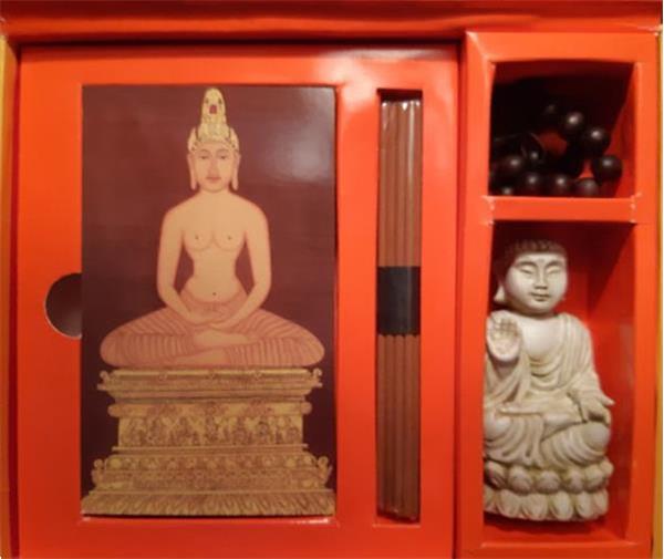Grote foto the buddha pack gill farrer halls boeken esoterie en spiritualiteit