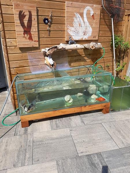 Grote foto grote aquarium met koi karpers tuin en terras vijvers en toebehoren