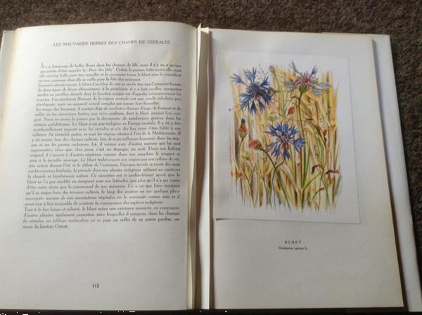 Grote foto franse boek fleurs sur ton chemin bloemsoorten boeken natuur