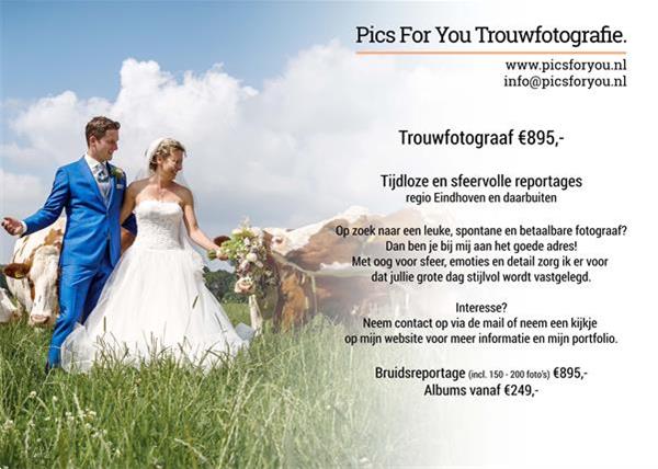 Grote foto bruidsfotograaf eindhoven 895 onze website diensten en vakmensen trouwen