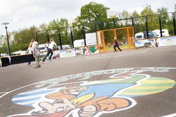 Grote foto modern 6 persoons vakantiehuis op park in voorthuizen vakantie nederland midden