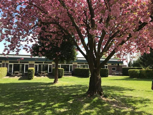 Grote foto 8 persoons geschakelde bungalow op park aan de ijssel vakantie nederland midden