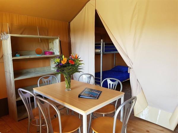 Grote foto safaritent voor 6 personen op park de tien heugten vakantie nederland midden