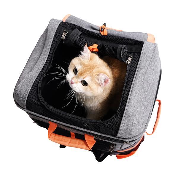 Grote foto two tier backpack rugtas dieren en toebehoren katten accessoires
