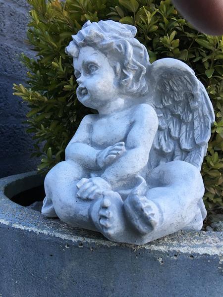 Grote foto zittende engel uit vol steen prachtig om te zien tuin en terras tuindecoratie