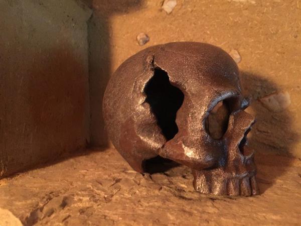 Grote foto schedel uit metaal zeer apart voor de leifhebber antiek en kunst curiosa en brocante