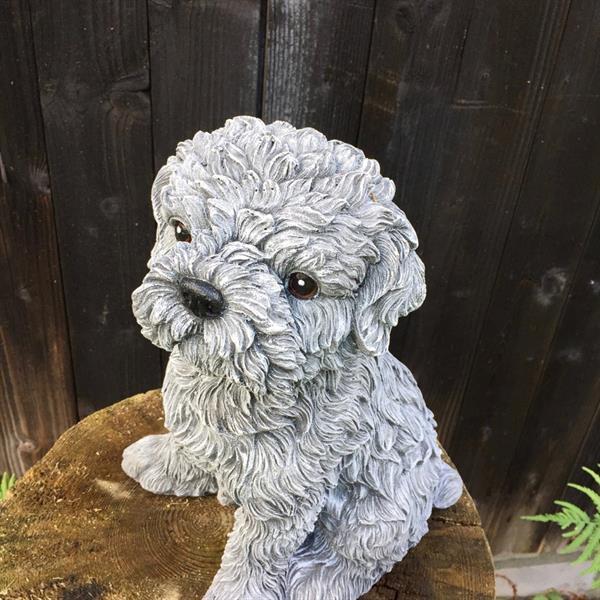 Grote foto shihtzu maltezer decoratie met hondenfiguren schattige hon verzamelen beelden en beeldjes