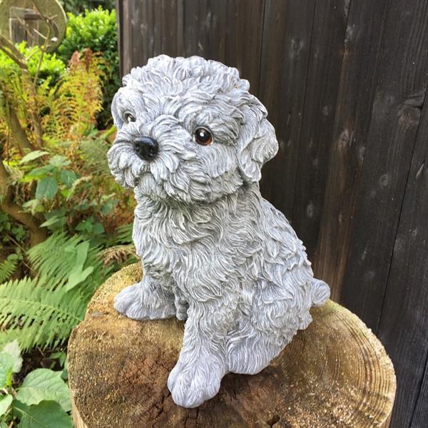 Grote foto shihtzu maltezer decoratie met hondenfiguren schattige hon verzamelen beelden en beeldjes