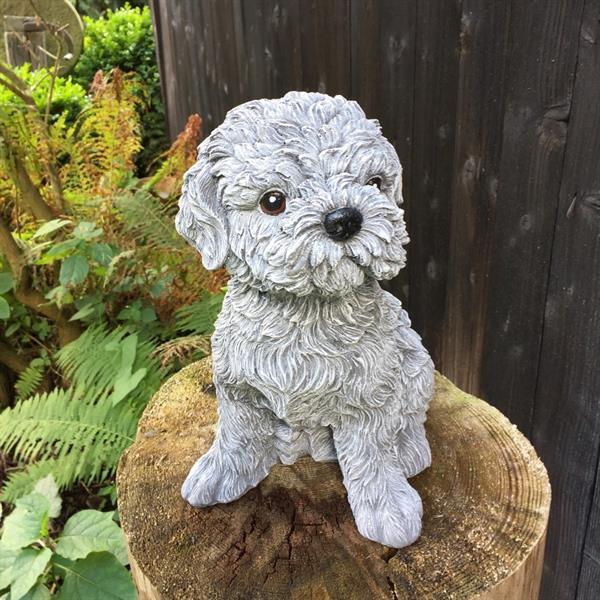 Grote foto shihtzu maltezer decoratie met hondenfiguren schattige hon verzamelen beelden en beeldjes