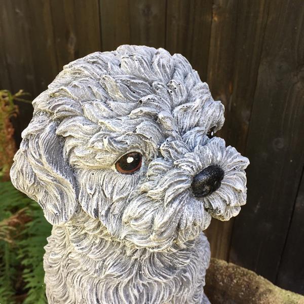 Grote foto shihtzu maltezer decoratie met hondenfiguren schattige hon verzamelen beelden en beeldjes