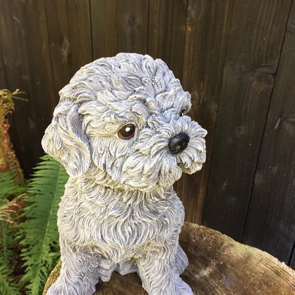 Grote foto shihtzu maltezer decoratie met hondenfiguren schattige hon verzamelen beelden en beeldjes