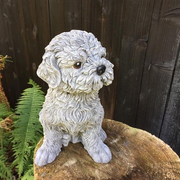 Grote foto shihtzu maltezer decoratie met hondenfiguren schattige hon verzamelen beelden en beeldjes