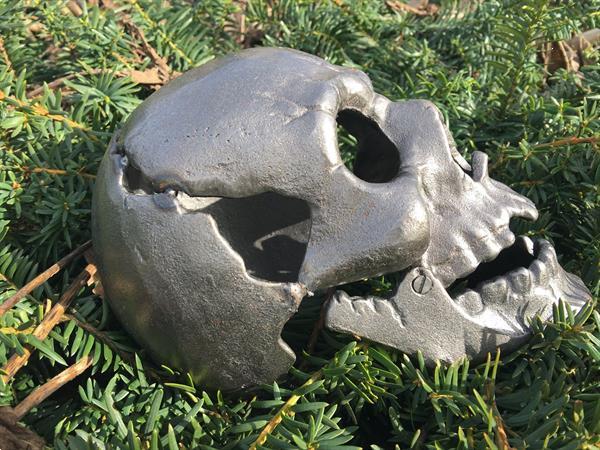 Grote foto 1 grote anatomische schedel uit gietijzer grijs rust antiek en kunst curiosa en brocante
