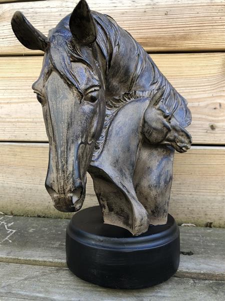Twee paard het nuzzling stock afbeelding. Image of zwart - 14841589 Twee paard het nuzzling stock afbeelding. Image of zwart - 14841589