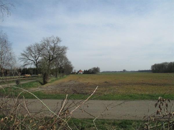 Grote foto grote gemeubileerde vakantiewoning tijdelijk te huur.bossen huizen en kamers recreatiewoningen