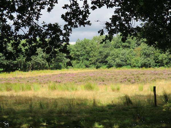 Grote foto grote gemeubileerde vakantiewoning tijdelijk te huur.bossen huizen en kamers recreatiewoningen