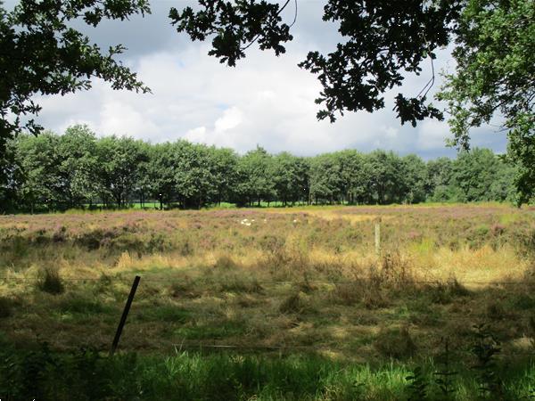 Grote foto vakantiepark ideaal voor rustzoekers.verhuur chalets woning vakantie nederland noord