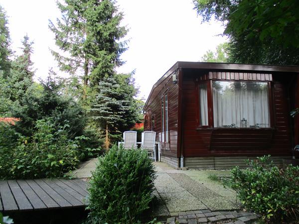 Grote foto vakantiepark ideaal voor rustzoekers.verhuur chalets woning vakantie nederland noord