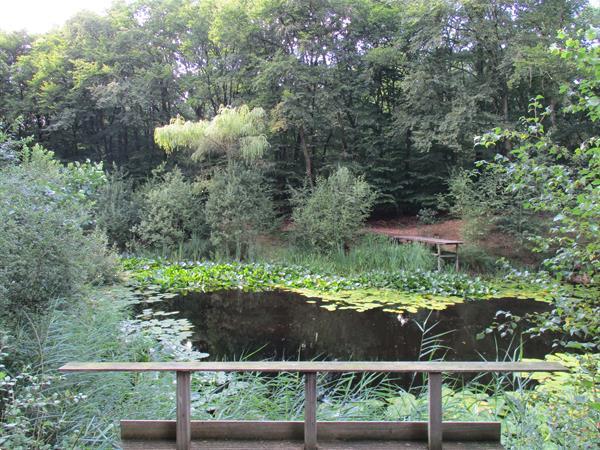 Grote foto camping groningen verhuur tijdelijke woningen vakantie campings