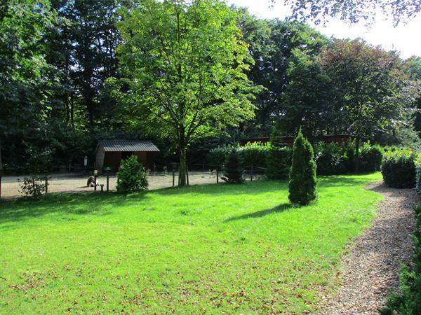Grote foto camping trimunt weekje heerlijk tot rust komen tegen bos caravans en kamperen overige caravans en kamperen