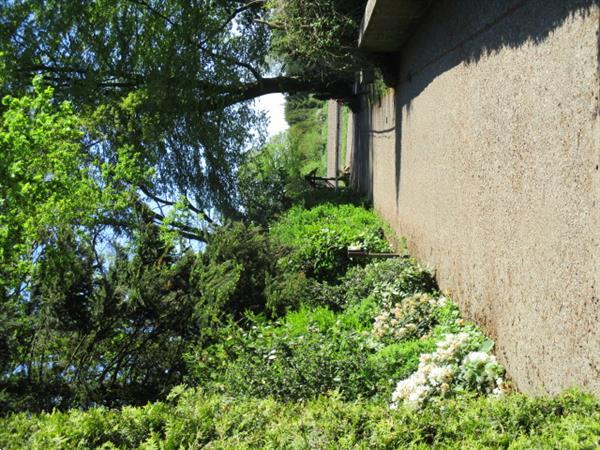 Grote foto recreatiepark trimunt tijdelijke snel spoedig verhuur woning huizen en kamers recreatiewoningen