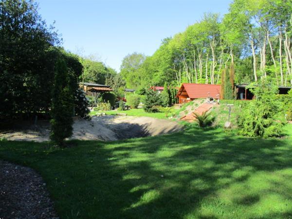 Grote foto recreatiepark trimunt tijdelijke snel spoedig verhuur woning huizen en kamers recreatiewoningen