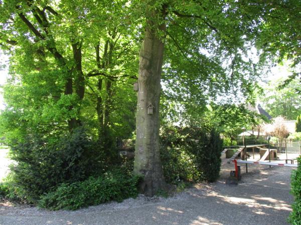 Grote foto camping trimunt ideaal voor rustzoekers.tijdelijk verhuur huizen en kamers overige te huur