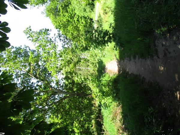 Grote foto camping trimunt ideaal voor rustzoekers.tijdelijk verhuur huizen en kamers overige te huur