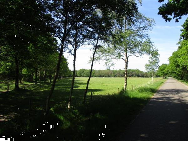 Grote foto vakantiepark trimunt verhuur van tijdelijke woningen huizen en kamers recreatiewoningen